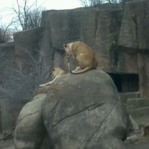 Meet your Posher, Sonia